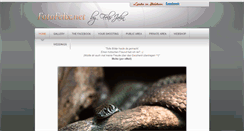 Desktop Screenshot of fotofelix.net