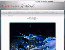Tablet Screenshot of fotofelix.net